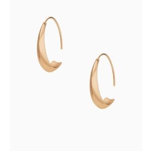Stella and dot dome hoop earrings